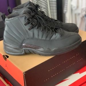 Jordan 12 “Winterized” SZ 9